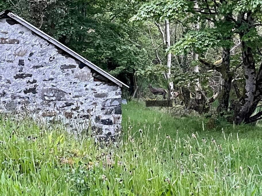 Donegal Town John The Mills Cottage Spahot Tub Private Beach מראה חיצוני תמונה